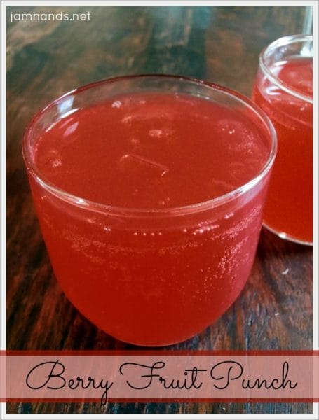 Berry Fruit Punch
