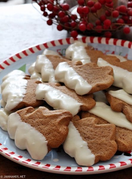 Soft Gingerbread Pudding Cookies Dipped in White Chocolate
