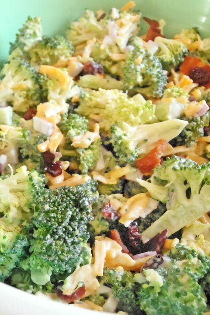 Best Ever Cranberry Broccoli Salad