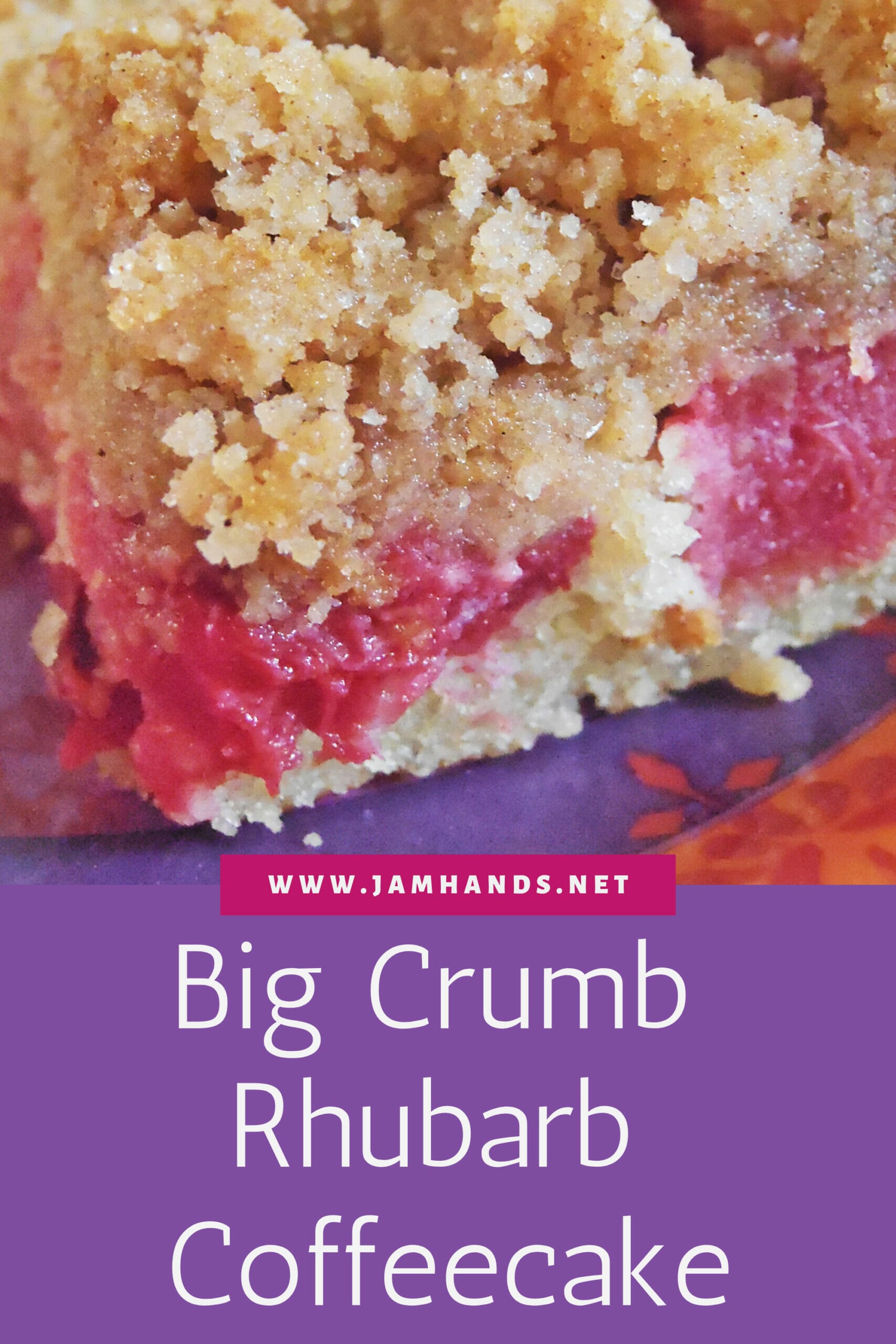Big Crumb Rhubarb Coffeecake